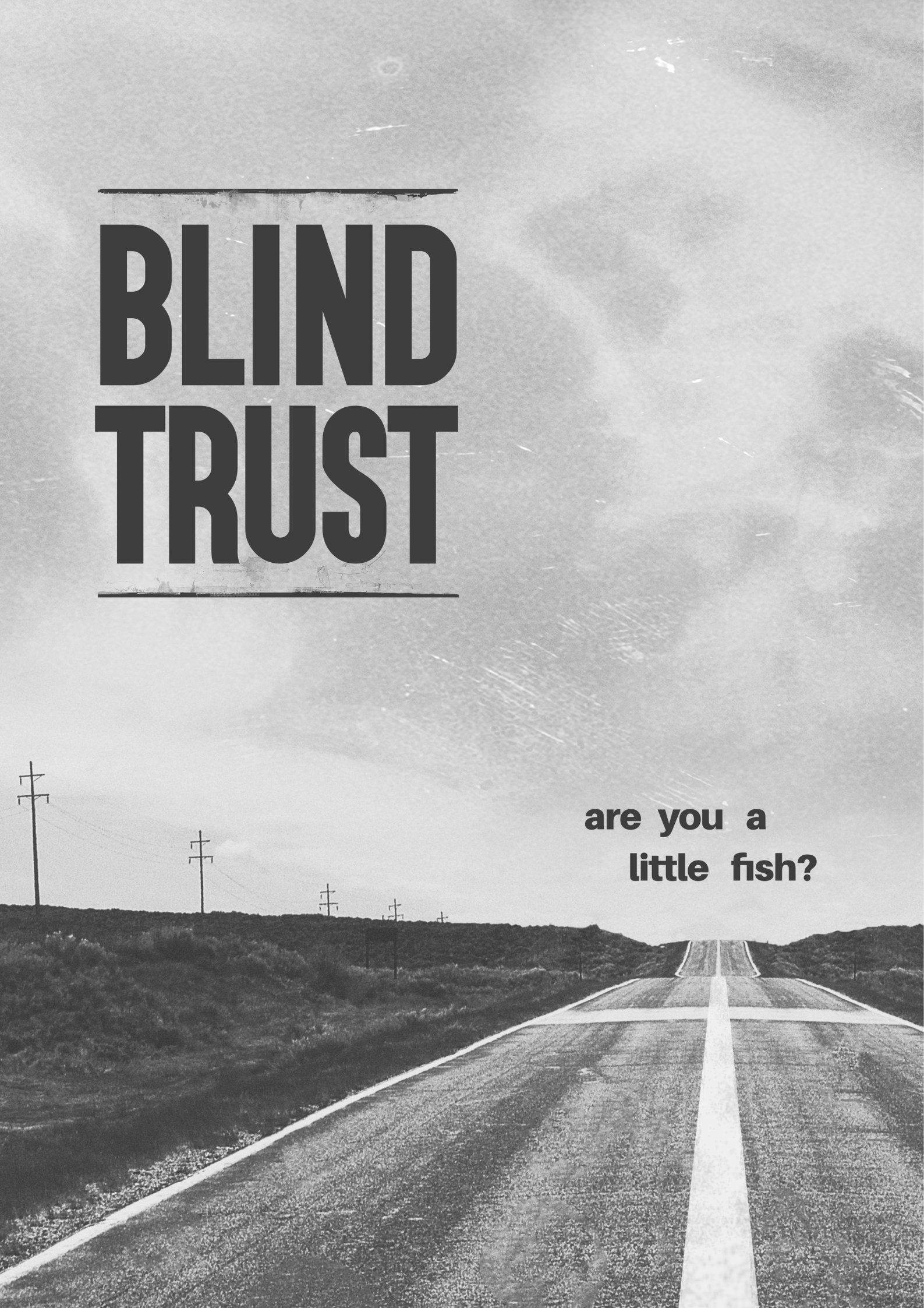 Blind Trust movie poster